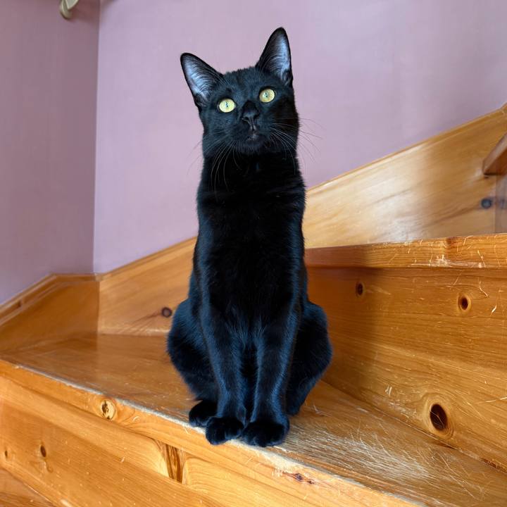 00764823 1240 404b b34f 35487d5ecdf2 1762559996244