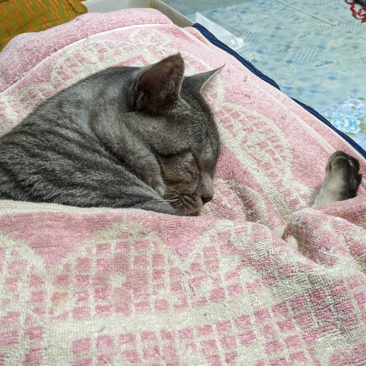 00765a1a 1874 49ff 9007 5812e2ab856b 1696943014201