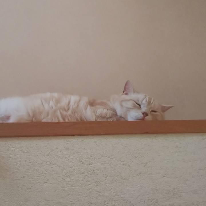 007689f0 762d 438f 8c83 94e1e8ae5bbe 1560919977871