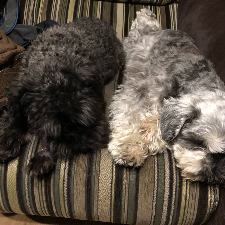 00768a0b 6593 4e1c bb38 7f430ffa9806 1670064723265