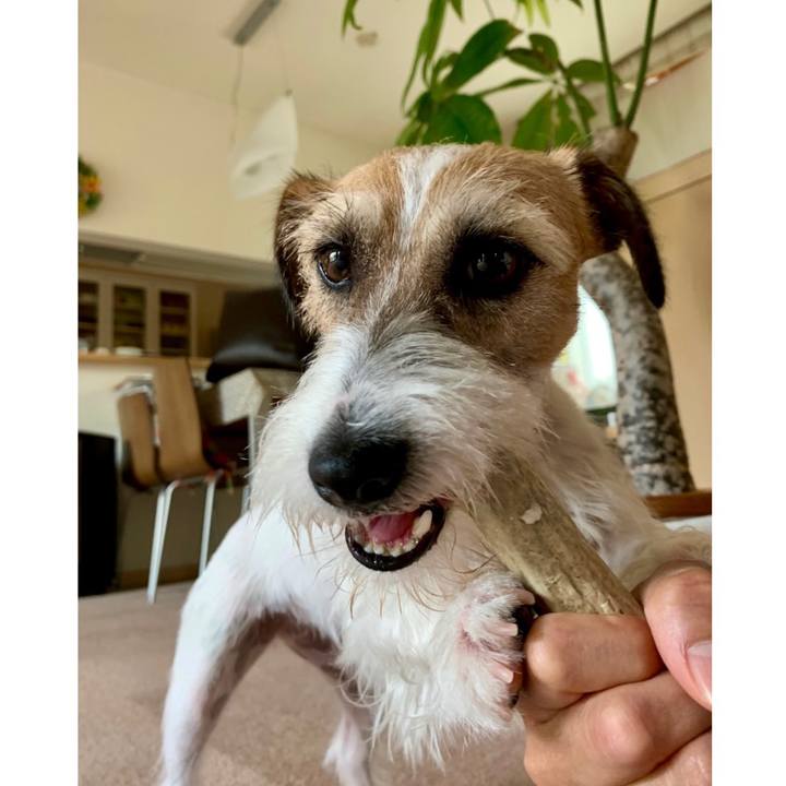 00769144 b772 4c51 abfd a170a95da613 1624164851204