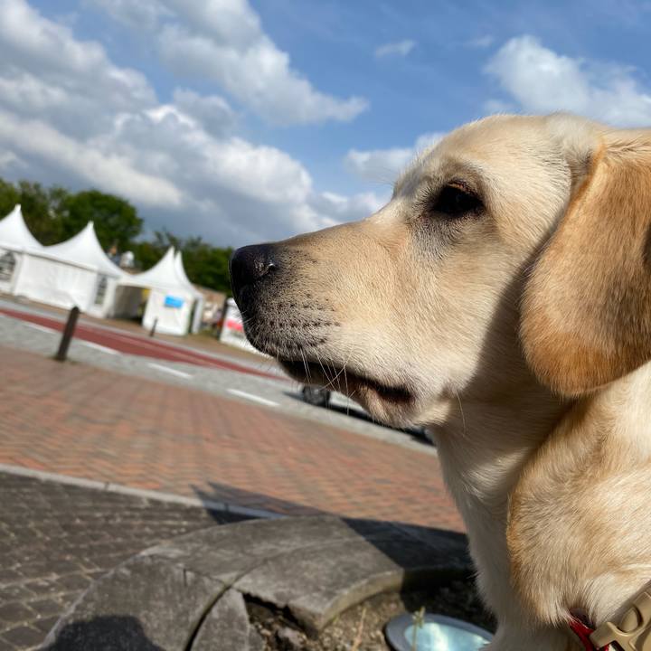 0076b4d0 0e81 437d a0a6 0ea6ca8d0cda 1619681817268