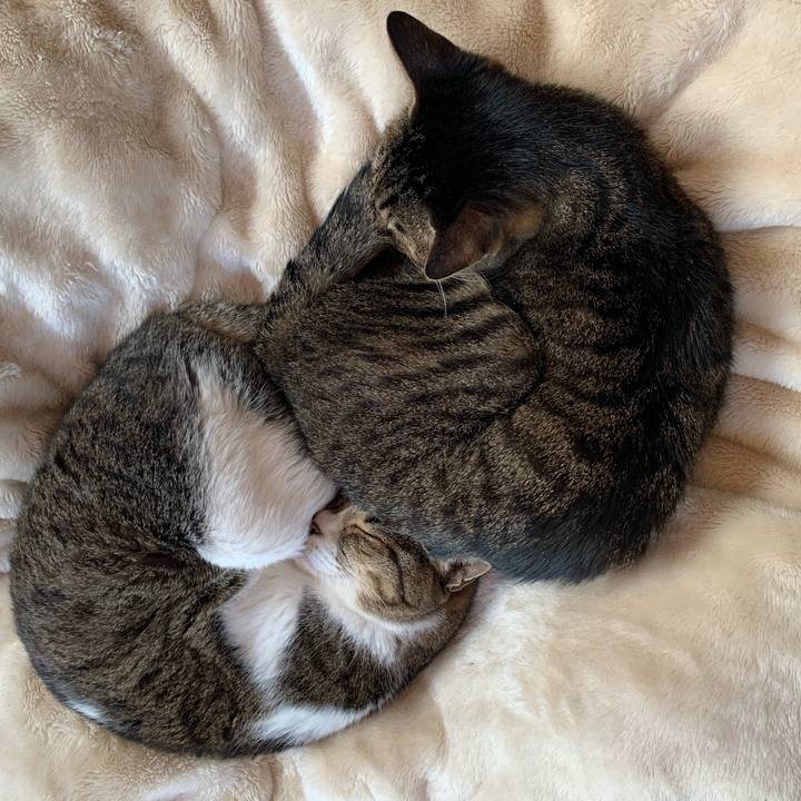 0076b979 6951 46c3 877f 32bf1eeeb3cb 1604624378188