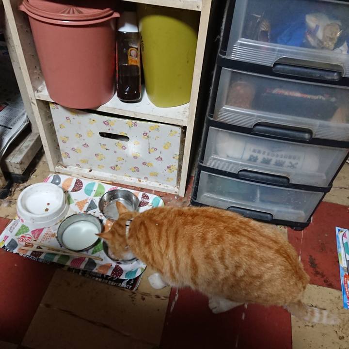 0076eade 2e8f 408e b0fb 90404fd0c55b 1589145304700