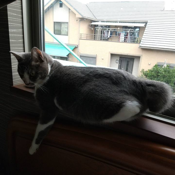 00773364 7bb7 4515 b3ef bd9e8eb8e1ac 1602456173699