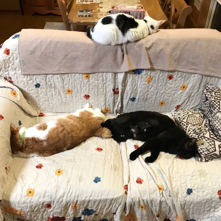 007751bd ba54 4bde bb79 148b13575c11 1592837647647