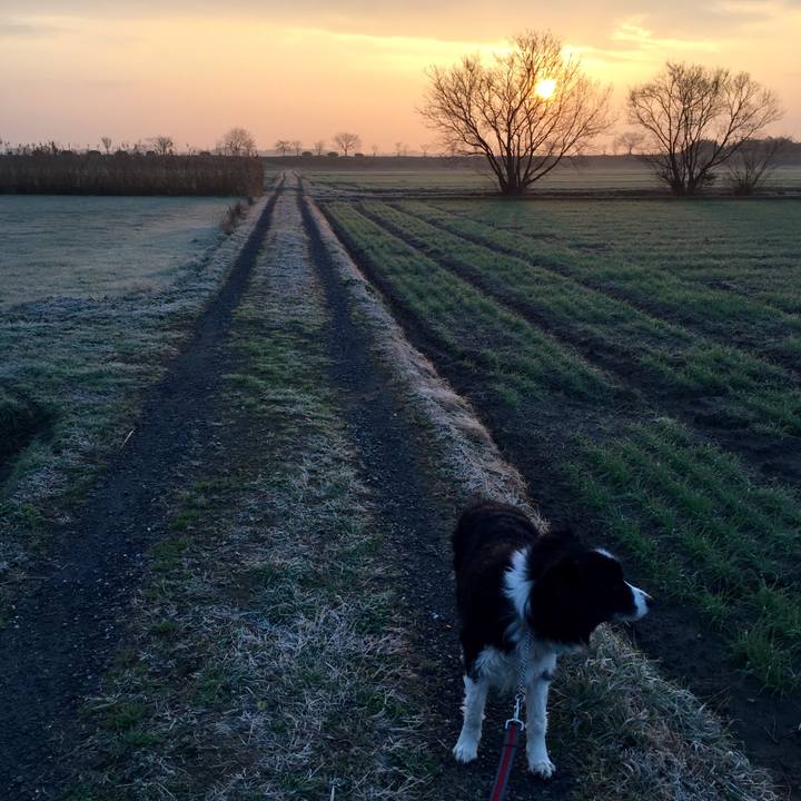 0077a656 5f8c 4287 830c 8271588f9d6c 1579044871308