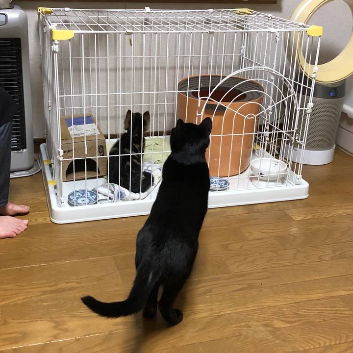 00781306 8e0d 4280 b6b2 93a39dd5c191 1725876443212