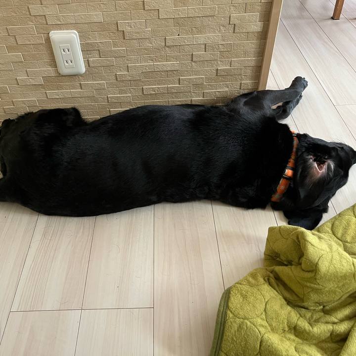 00789535 d548 411b bf4b 2565f718ab11 1754879539541