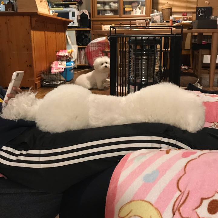 0078a7a3 b766 404d bb9d bcddedec7e04 1587204415994