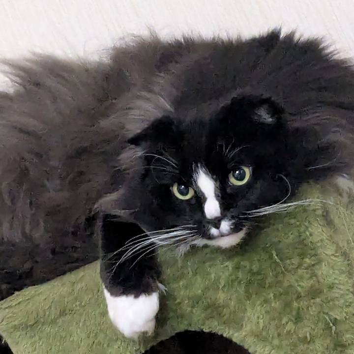 0078b4b3 3b97 4c60 8ba8 0c0df70d00bf 1773316207374