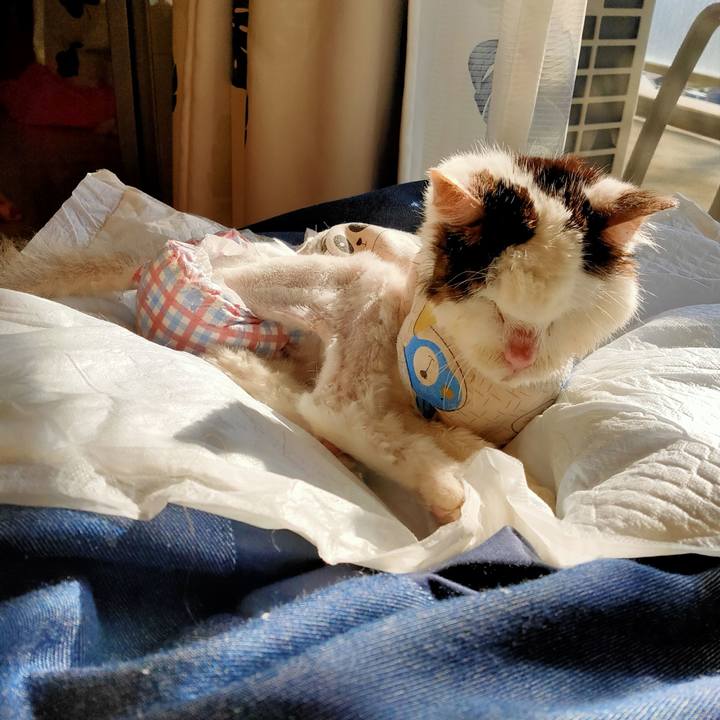 0078d399 2764 4444 b17f 02574e716d5b 1611204638268