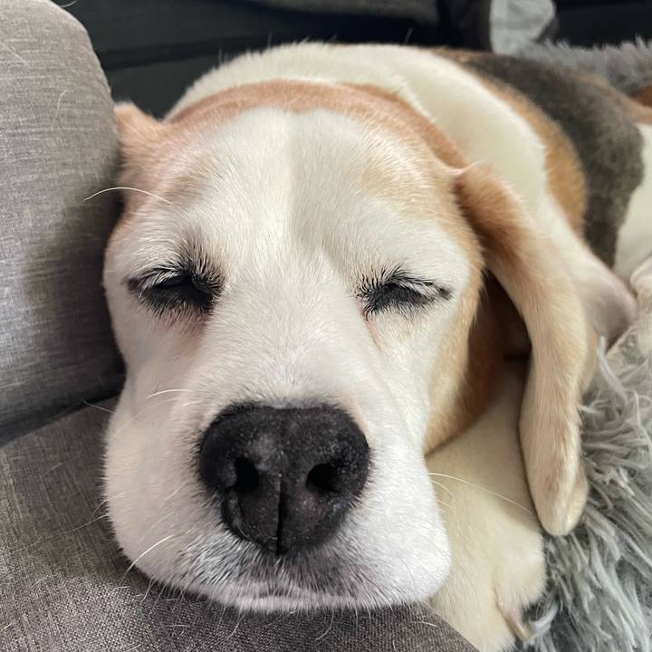 00792906 83de 4e4a a2e5 378d5d284cf0 1762570730132