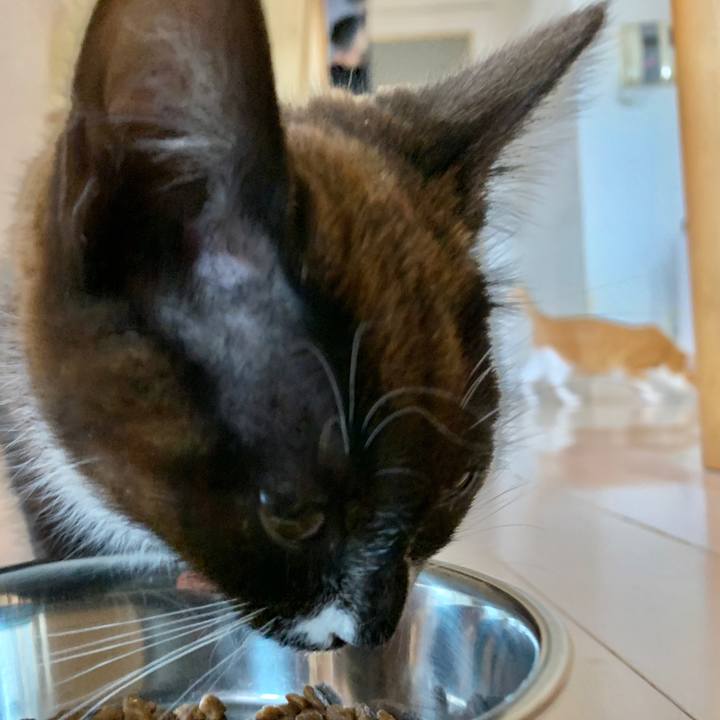 00793a8c 7e68 4c27 a209 f50a41a63989 1579347252986