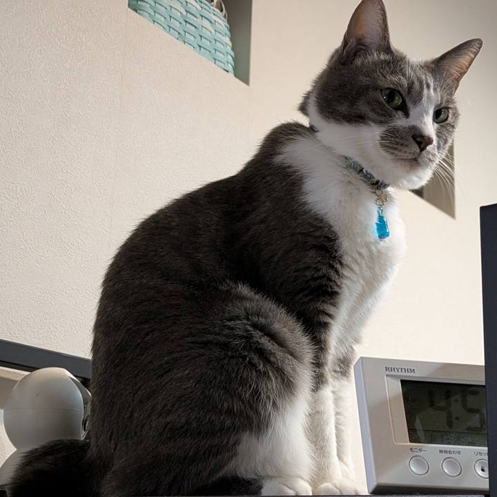 00794246 2885 436c ae22 a27d14297b77 1731494685961