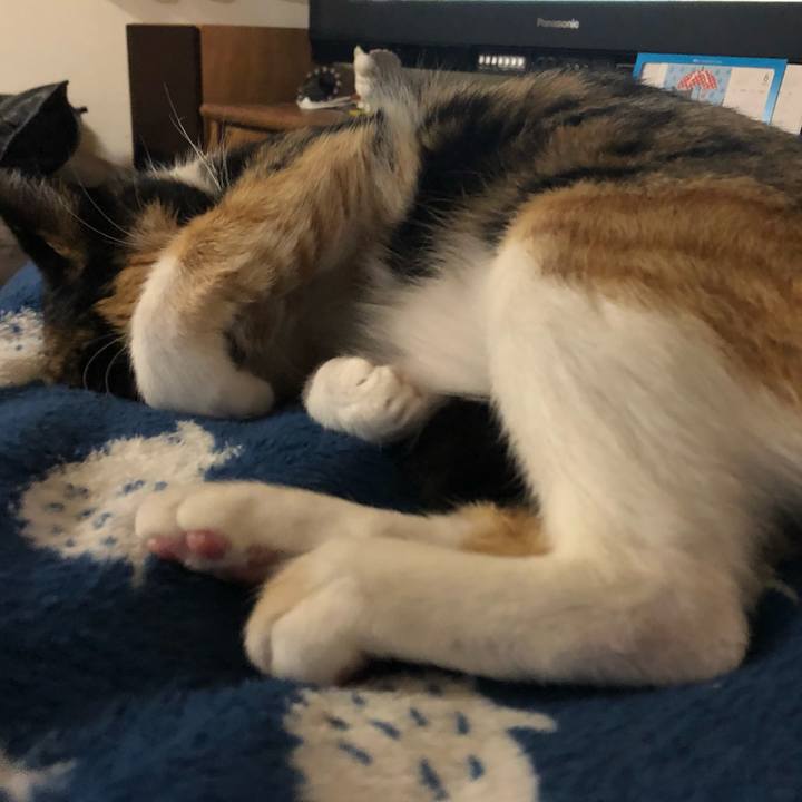 00798ed0 971d 4e8f 944a e0b2d8942b0e 1561553231664