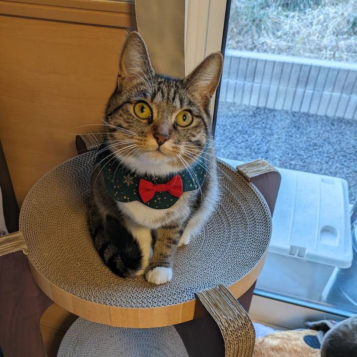 00798ff7 4437 4aff 942d 0bf4b4a93277 1703465343101