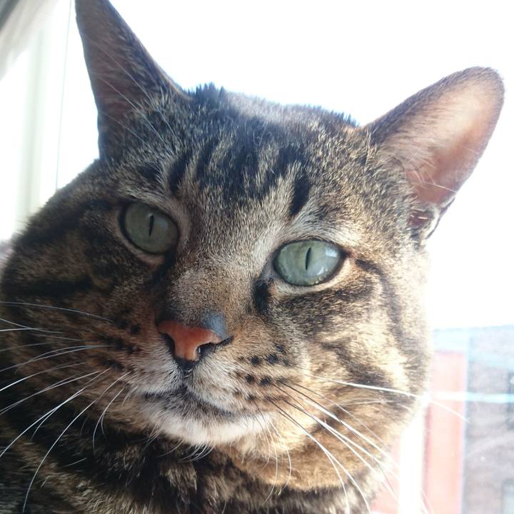 0079d172 4190 4a38 a711 e7dcb1578ab3 1529401721452