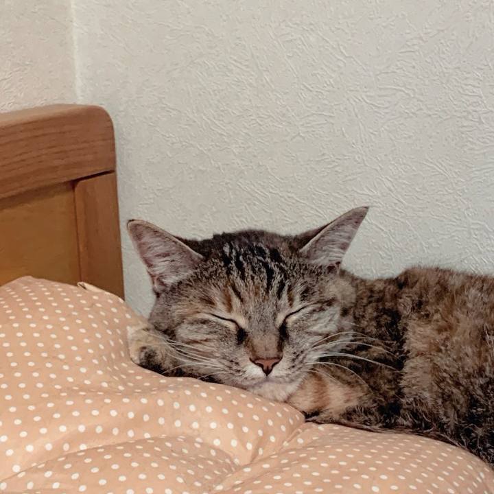 0079e6e8 4fe7 46ba b2c0 26545b4c8853 1720658574976