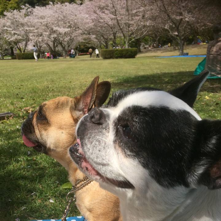 0079fba3 4772 4723 8cdd 5c018933b8af 1667576384408