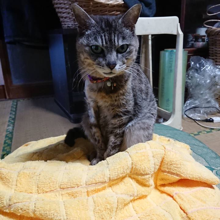 0079fd7d c3ac 4c38 84fd 498b0e4e1a05 1590222952326