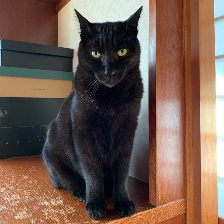 007a0c38 4a78 46f2 b96d ca4208c0c7be 1554426108060