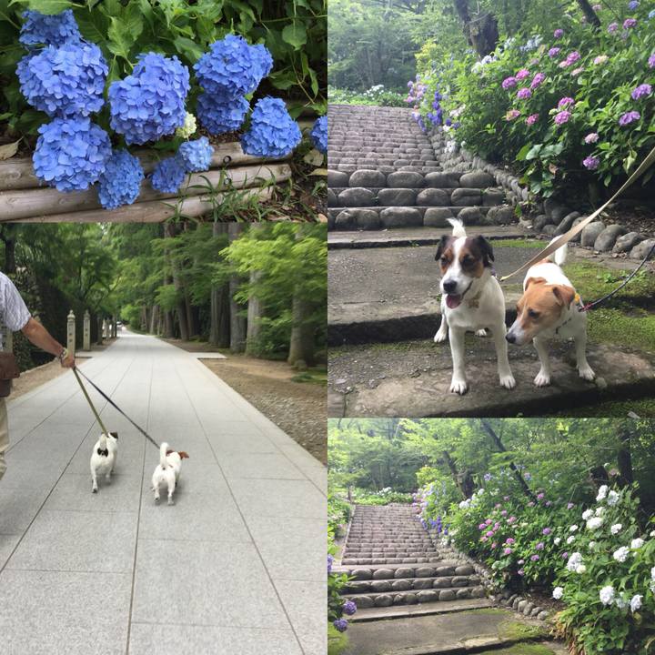 007a5d31 dc1a 47ee a0ba e3ba2c5b9cb9 1529131851483