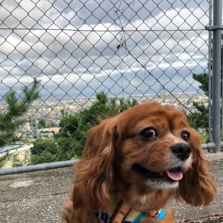 007a6311 33bc 4285 b1cb d241640eeca3 1628499987396