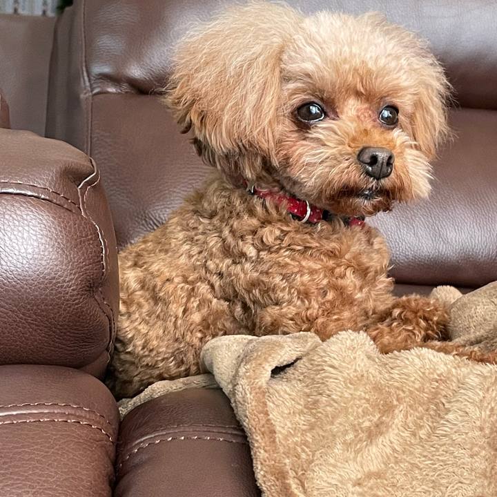 007a9293 f8e7 484d a42d fc6c4592fd79 1677288646021