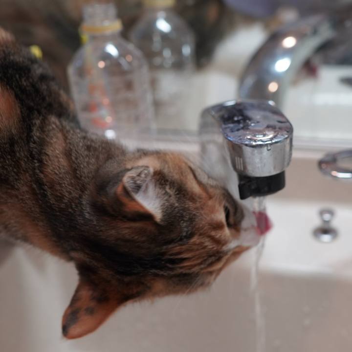 007ae89c be54 470f ab6f 6dfd6a2fee5b 1585144013643