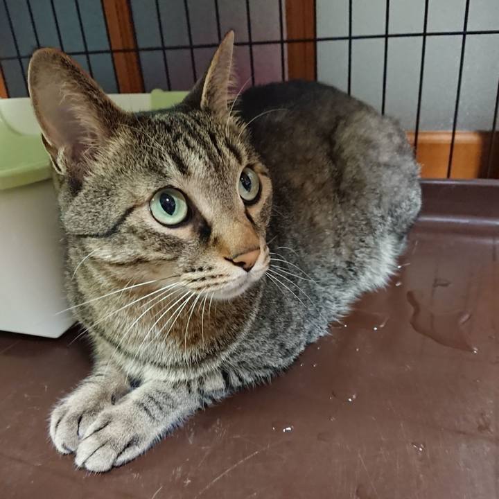 007b4da4 5cb3 45b4 a573 ae572c6a08ac 1593082266068