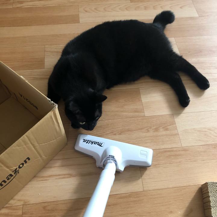 007b50df 3c75 4c33 816b 2f06a2f78d48 1564957975075