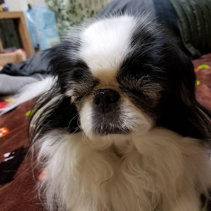 007b5b1d 7faa 4076 b642 1351ca5091ec 1512215473369