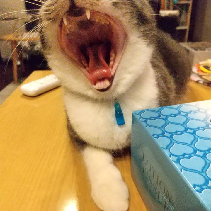 007bad46 00f1 4e4f 83a3 e9460acdb869 1607261615437