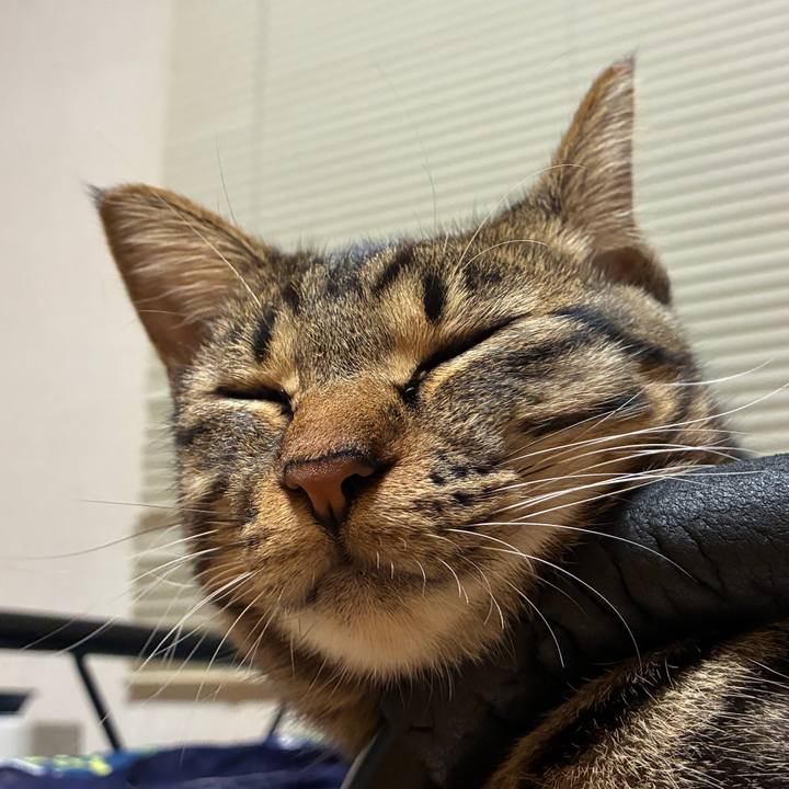 007bfd37 d162 4603 a11c 689f5c3cbfc7 1758197442278