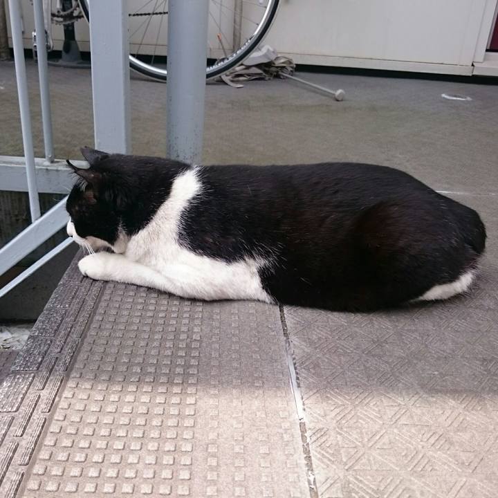 007c4771 e3bc 402b ac31 ef8808b3fe7a 1526087850374