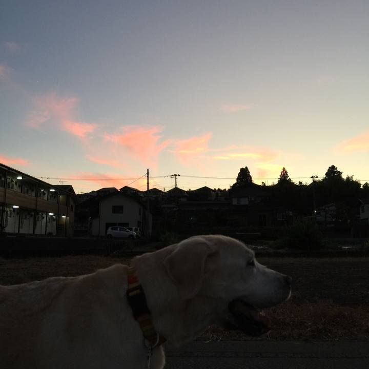 007c52ab 7ecc 4c2a bb29 0868d5e37c81 1532950876830