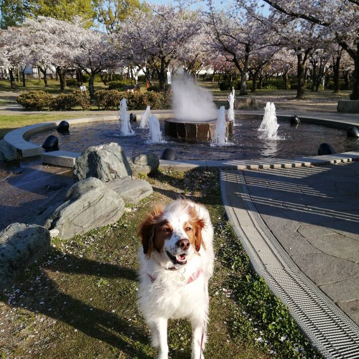 007c5511 3833 4f8e 8d20 ee6b5e5f1bcd 1586517911390