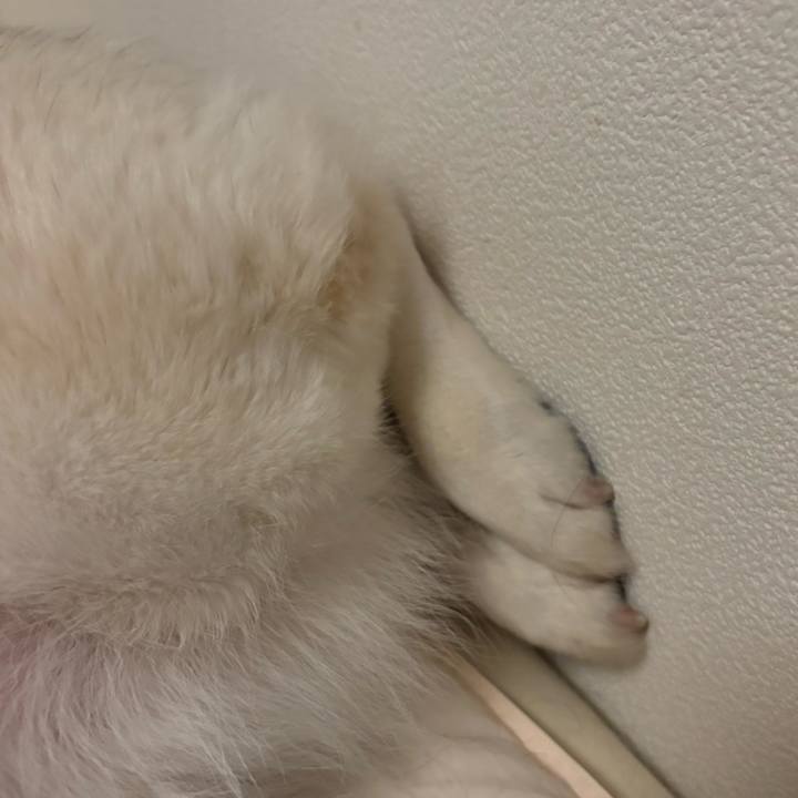 007c6110 ff66 4b5c ab01 128fd4132eb1 1744988305952