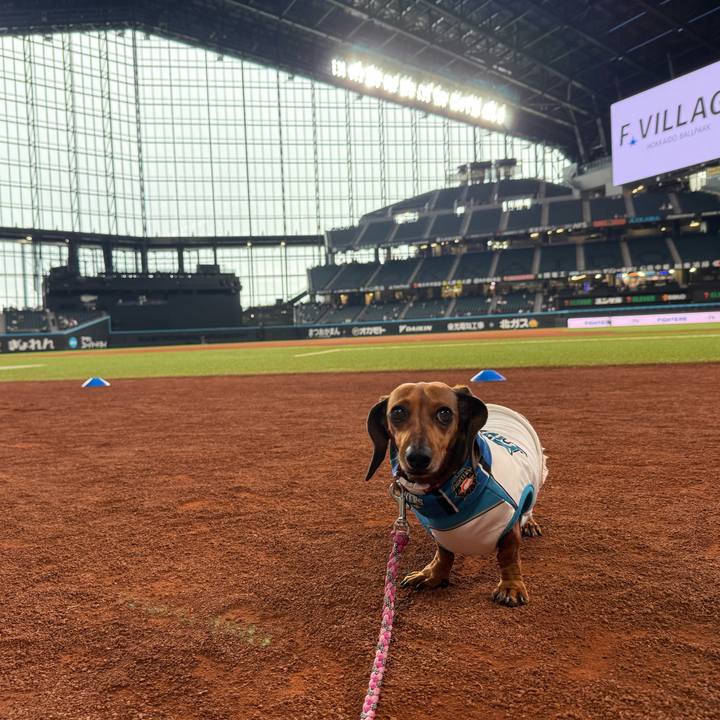 007c9c40 078d 49e2 88bc 3000efcb350a 1757251305441