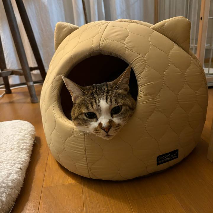 007cd5fb df6a 4d63 8114 e6943e61ec24 1709470915516