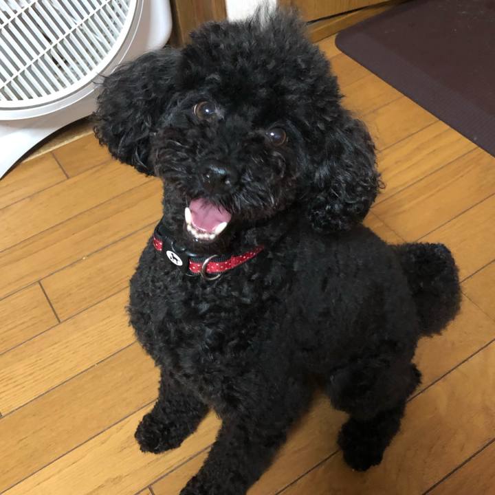 007d279e 5fcb 441f 8df5 2c916d54dc21 1593300859761