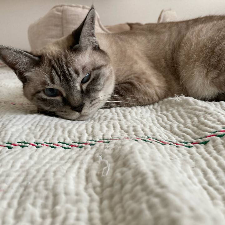 007d48c1 6f8d 45a0 81c2 2a40b18f4b3a 1720921315978