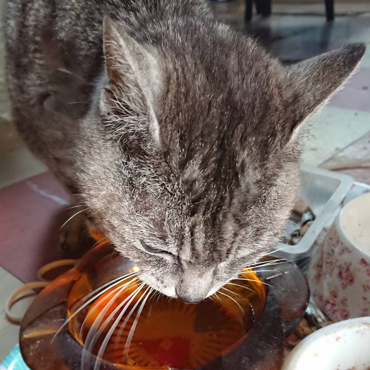 007d4f08 27be 48c8 89cc 4bf7b4445a61 1592430182803