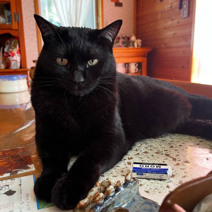 007d6233 4f81 421c 8cad 7f21994d14a7 1724980395456