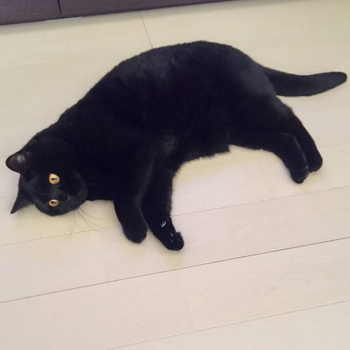 007d6a65 9e7e 462b 86f0 cd0b62151624 1553051238888