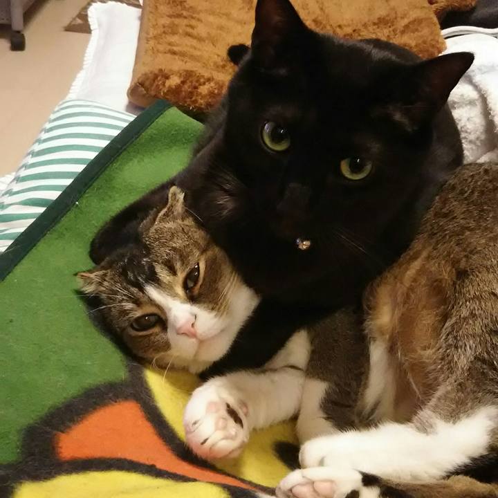 007d80b0 2308 46d4 8773 d7252180e131 1542629821788