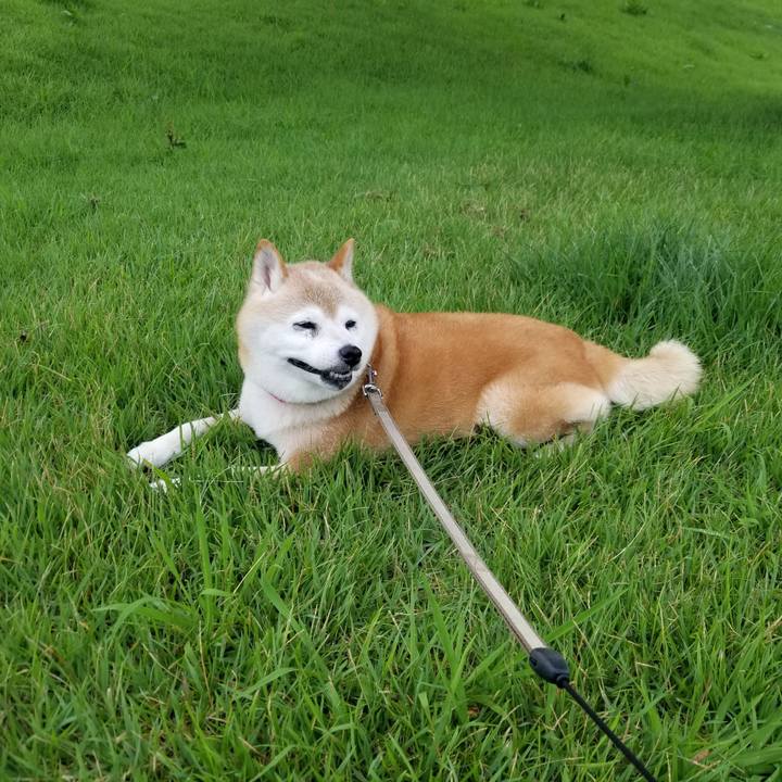 007d8752 ce4f 46a0 ad87 4995c6c2448f 1721200234174