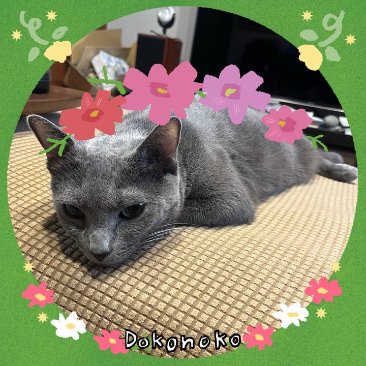 007da3f8 7bc1 4e63 bc87 c1750cb06c27 1726904096924