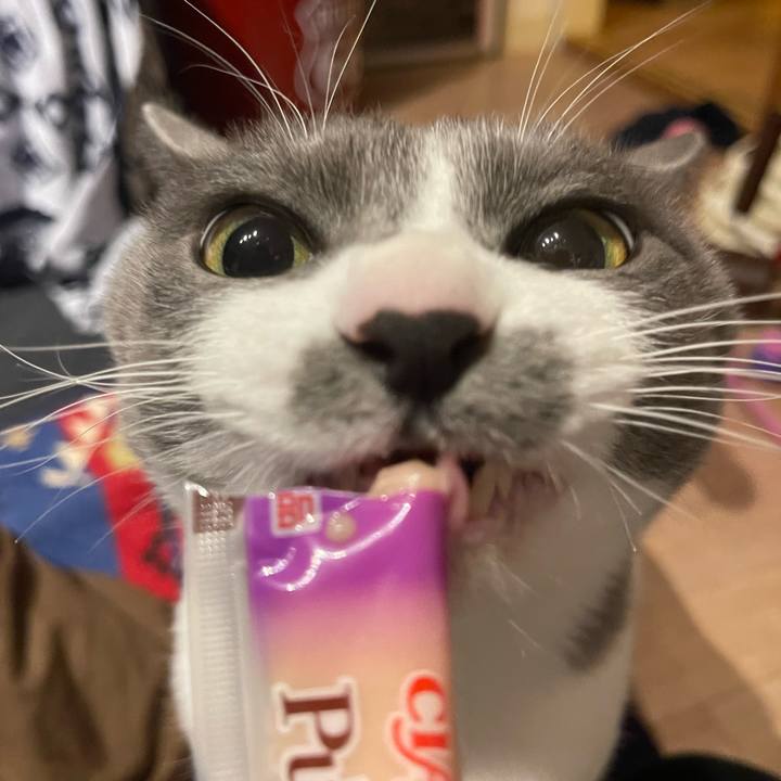 007db378 24c8 466f 9a93 ccc90a94adb3 1672390407888